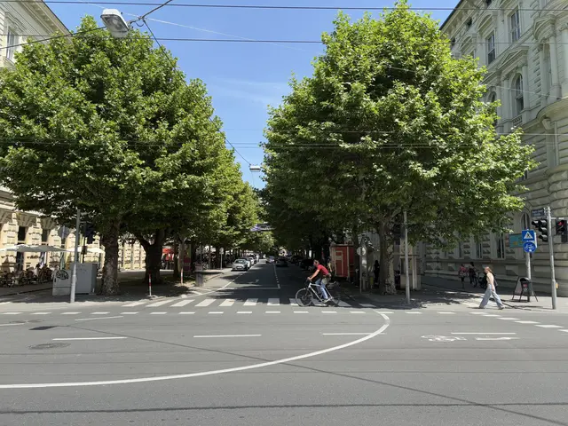 Der bestehende Radweg in der Franz-Josef-Straße, der sich in einem schlechten Zustand befindet, wird verbreitert und Engstellen sowie Problemstellen werden behoben. | Foto: Schrofner