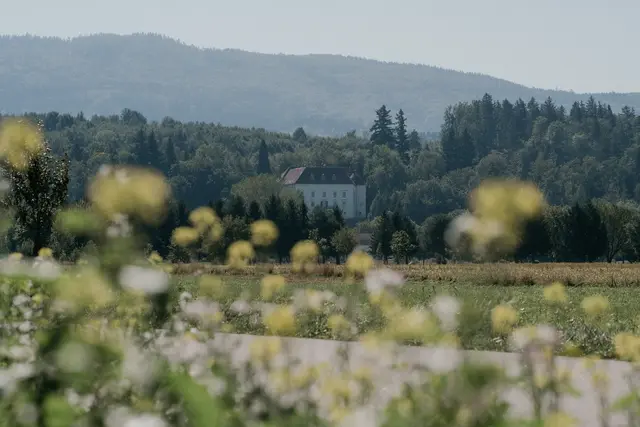 Das Schloss Ernegg bei Steinakirchen liegt mitten im Grünen. | Foto: Jewgenia Billiani/Schloss Ernegg