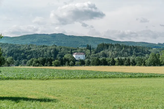 Einzigartiges Ambiente im Schloss Ernegg bei Steinakirchen am Forst | Foto: Nicole Stessl Photography/Schloss Ernegg