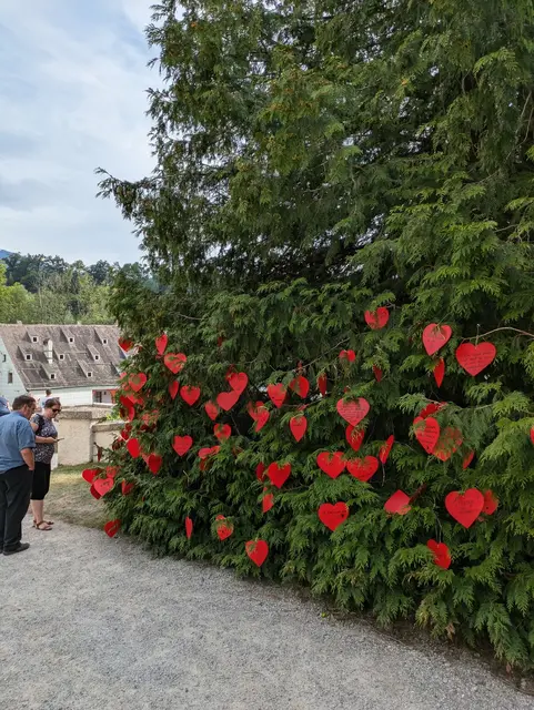 Foto: Hofgartenfreunde