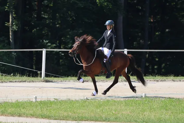 Clara Pann hier auf ihrem Pferd Gjola. Sie startet auch bei der WM in der Schweiz. | Foto: Lena Dillinger