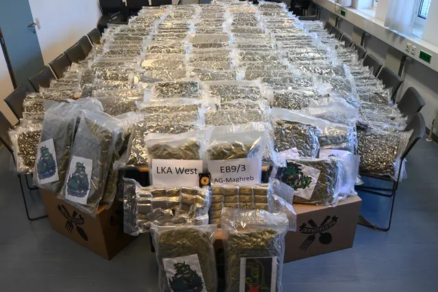 317 Kilogramm Cannabiskraut in Wien sichergestellt