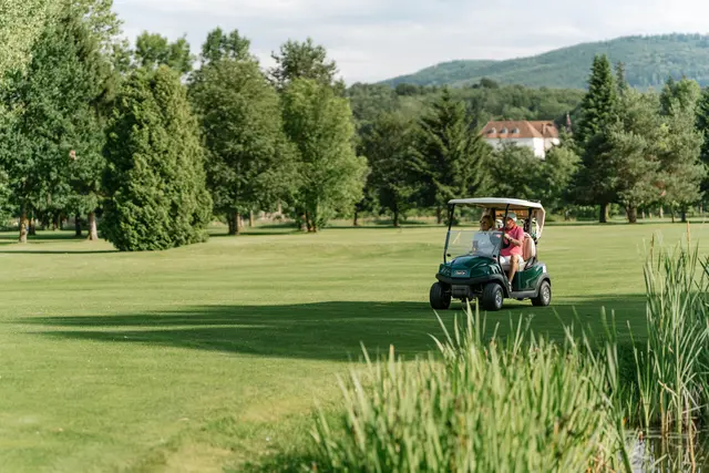Golfen mit Schloss-Ambiente in Ernegg bei Steinakirchen am Forst | Foto: Nicole Stessl/Schloss Ernegg