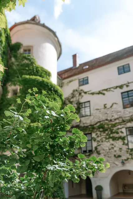 Einzigartiges Ambiente im Schloss Ernegg bei Steinakirchen am Forst | Foto: Nicole Stessl Photography/Schloss Ernegg