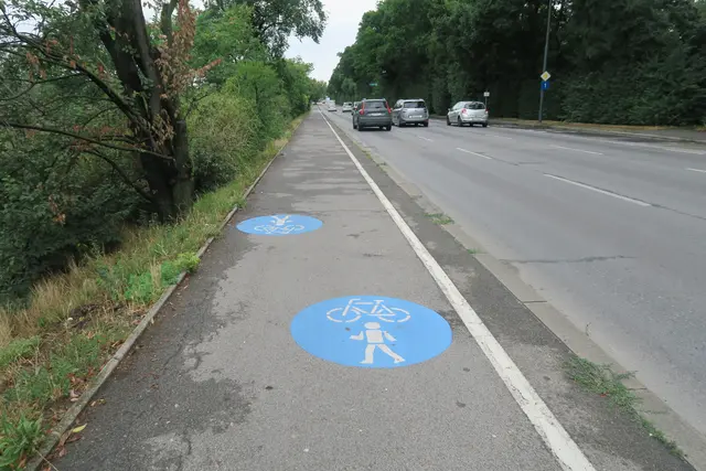 Foto: Patricia Hillinger/MeinBezirk