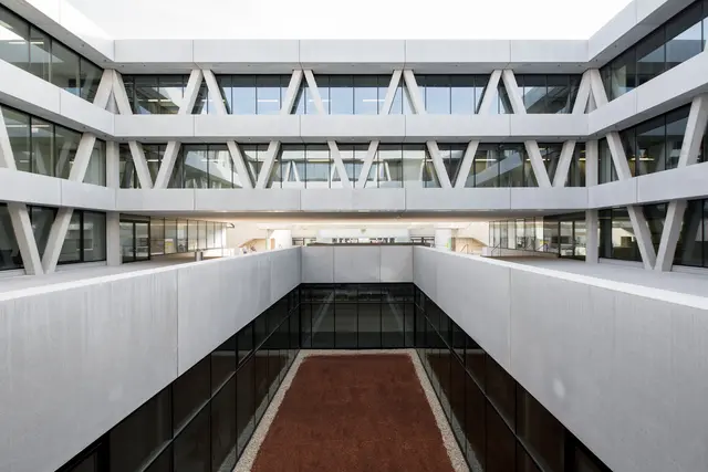 Die New Design University präsentiert die besten Abschluss- und Projektarbeiten des aktuellen Studienahrgangs nicht nur im Rathaus sondern auch zum dritten Mal in Form einer virtuellen Ausstellung. | Foto: Guilherme Silva da Rosa