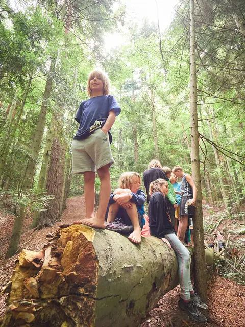 Foto: ROOTS Camp/ Podpera