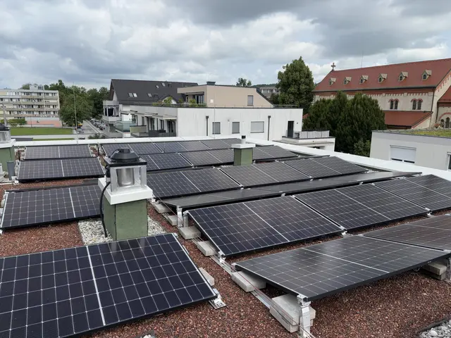 Der erzeugte Strom der PV-Anlage wird zur Versorgung der Allgemeinbereiche (z. B. Haustechnik, Lift, Beleuchtung) verwendet und zusätzlich über eine E-Patrone in den Pufferspeicher für Heizung und Warmwasser eingespeist. | Foto: Schrofner