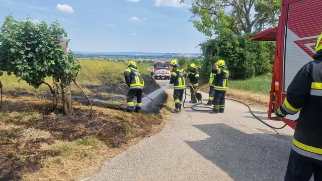 Foto: BFKDO Tulln/ St. Öllerer