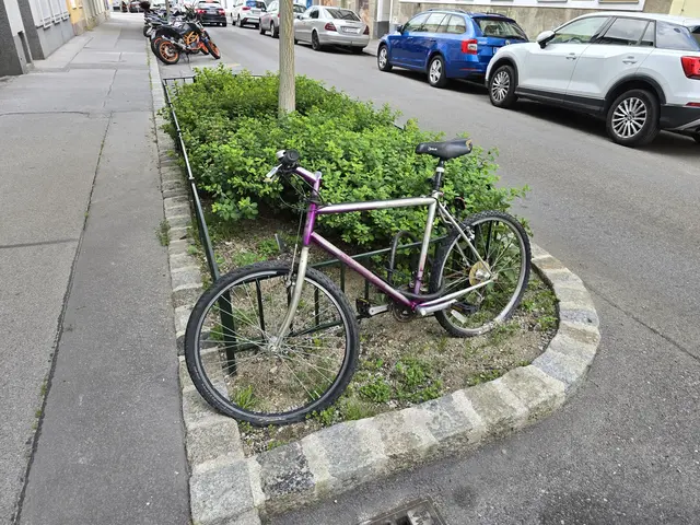Vor rund einem Jahr soll das Rad an einen neuen Ort gestellt worden sein. Hier parkt es nun unberührt seit vielen Monaten.  | Foto: Z.V.g.