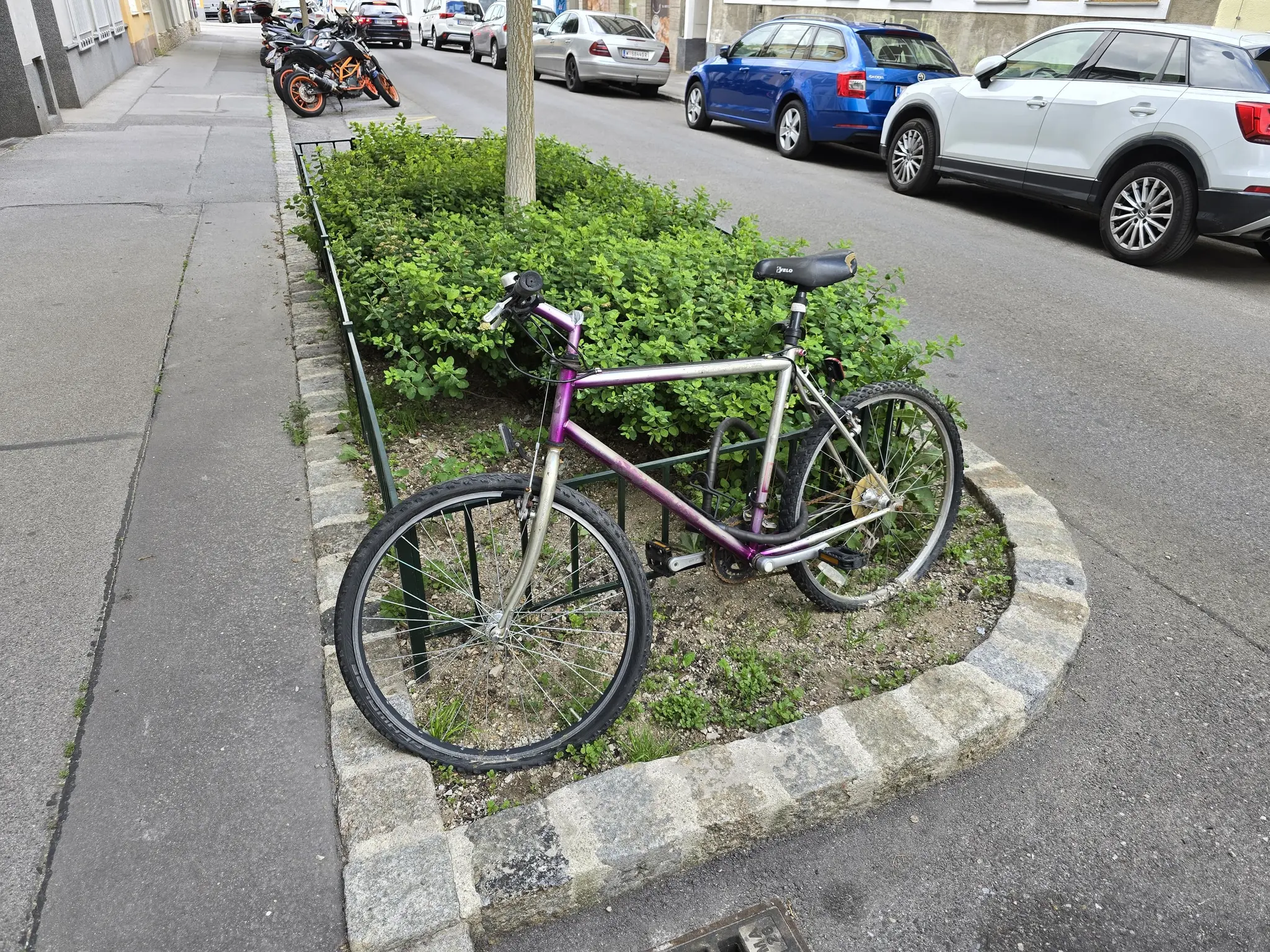 fahrradtasche hofer Fahrrad Handytasche & Handyhalterung (Touchscreen 6,7