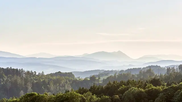 Foto: ROOTS Camp/ Podpera