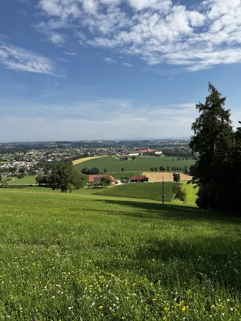 Neu im Finanzranking und gleich auf Platz 27 in Österreich ist die Gemeinde Seitenstetten. | Foto: Dietl-Schuller