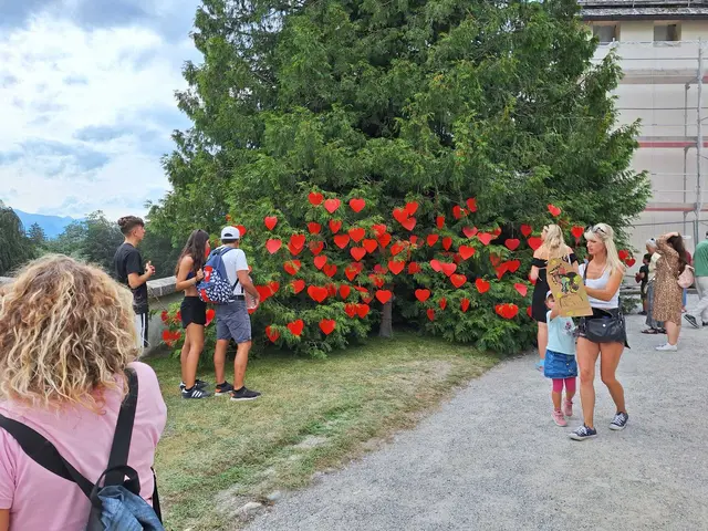 Der Wunschbaum beim Schloss Ambras Fest. | Foto: Hofgartenfreunde