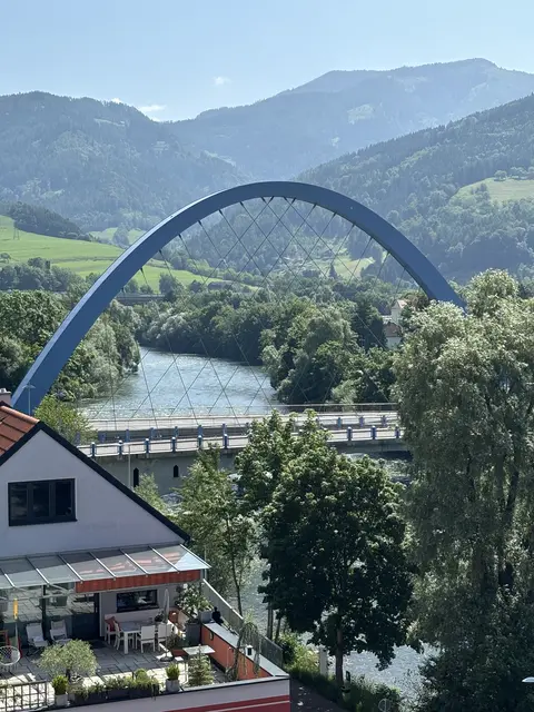 Würde die Stadtregierung in Bruck so weitermachen, würde noch heuer die Zahlungsunfähigkeit blühen. | Foto: Kern