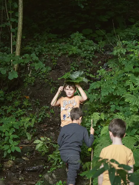 Foto: ROOTS Camp/ Podpera