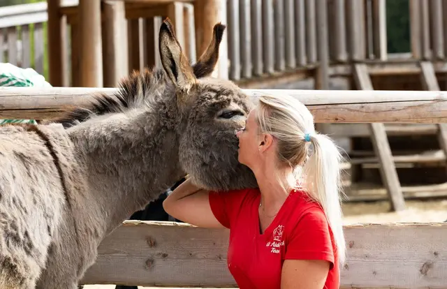 Im neuen Eselland darf nach Herzenslust gekuschelt werden. | Foto: Gut Aiderbichl