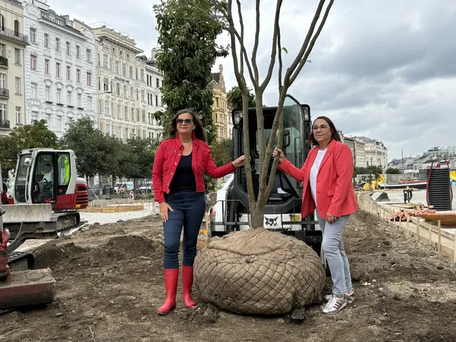 Foto: Nathanael Peterlini/MeinBezirk