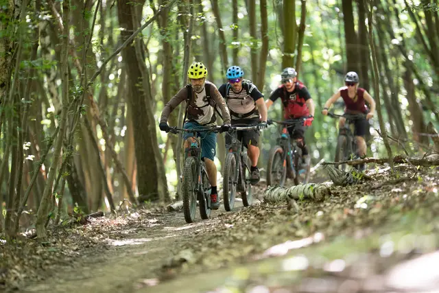 Die Gravelbiketour bietet viel Abenteuer für Jung und Jungebliebene. | Foto: Niederösterreich Werbung/ Markus Frühmann