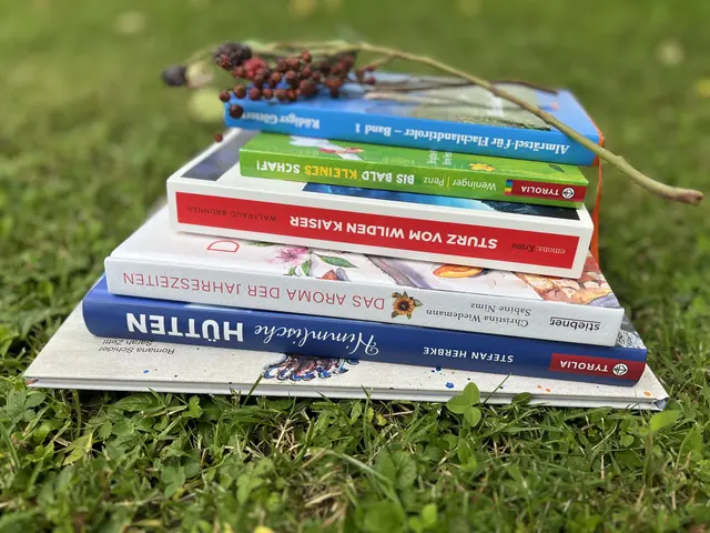 Was der Bezirk Kufstein in diesem Sommer lesen könnte: MEINBEZIRK KUFSTEIN hat sich sechs Bücher näher angesehen.  | Foto: Barbara Fluckinger