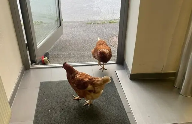 Foto: Gemeinde Tragwein