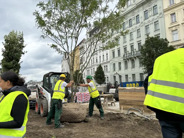 Die Bauarbeiten für den neuen Naschpark gehen in die nächste Runde: Die ersten Bäume werden gepflanzt. | Foto: Nathanael Peterlini/MeinBezirk