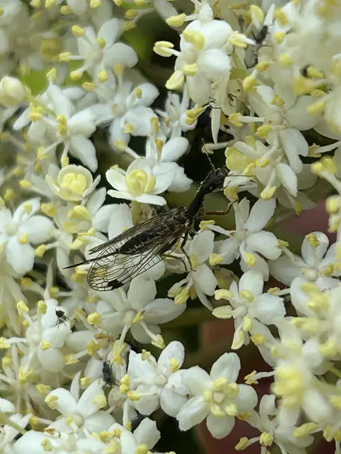 Foto: Freilichtmuseum Pelmberg