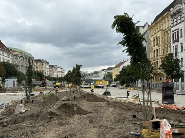 Foto: Nathanael Peterlini/MeinBezirk