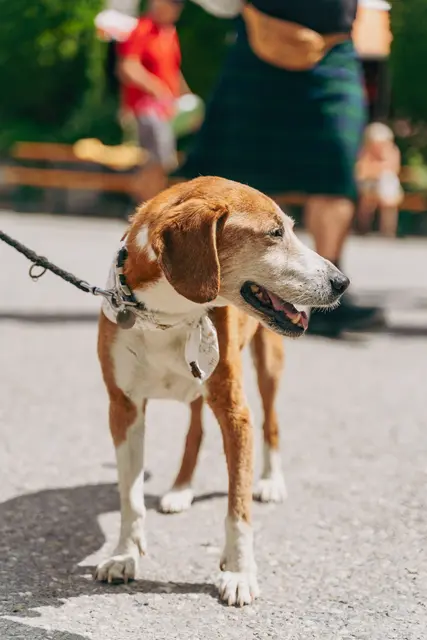 Foto: Copyright TVB Mölltal / Peter Maier & Hanna Weichsler