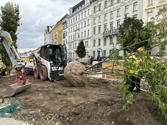 Je nach Stelle im Park werden die passenden Bäume ausgewählt.
 | Foto: Nathanael Peterlini/MeinBezirk