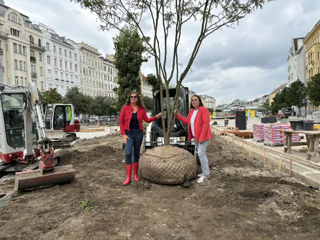 Foto: Nathanael Peterlini/MeinBezirk