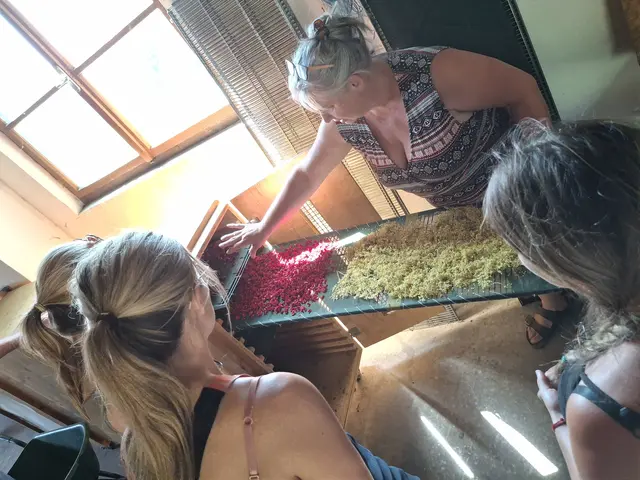 Die Bäuerinnen erfuhren Spannendes rund um heimische Kräuter. | Foto: Bäuerinnen Alberndorf