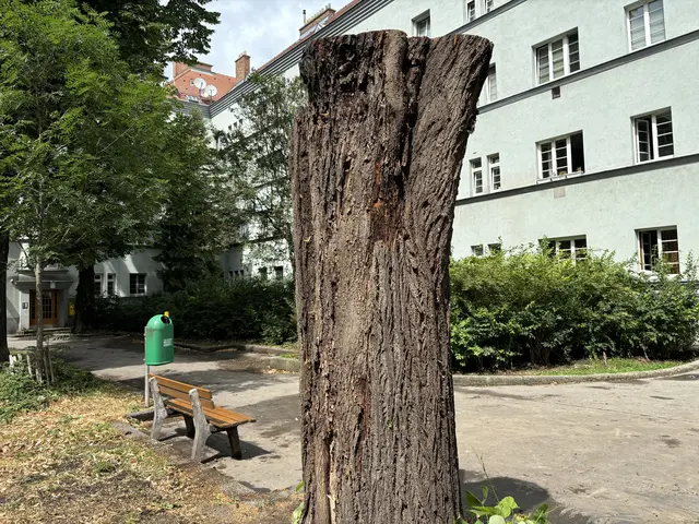 Foto: Luca Arztmann/MeinBezirk