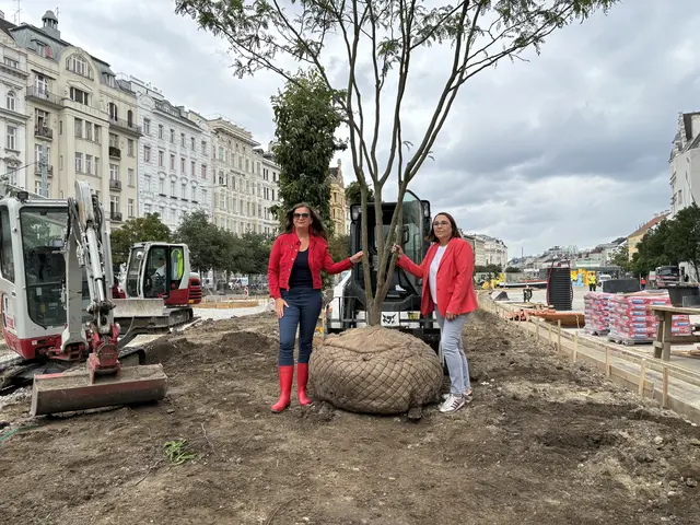 Foto: Nathanael Peterlini/MeinBezirk