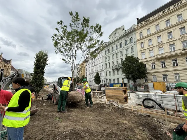 Foto: Nathanael Peterlini/MeinBezirk