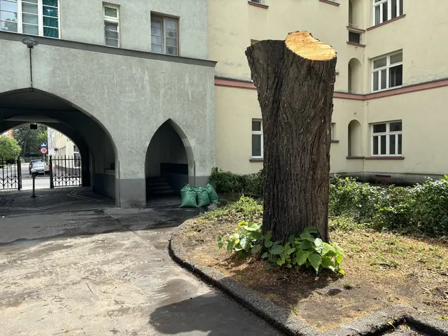Foto: Luca Arztmann/MeinBezirk
