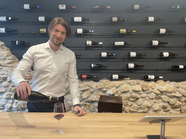 Bei Ádám Éris "Loveprojekt", Neighbor Wine, kann man  Weine aus Österreich und Ungarn neu entdecken. | Foto: Kristof Paksanszki/MeinBezirk