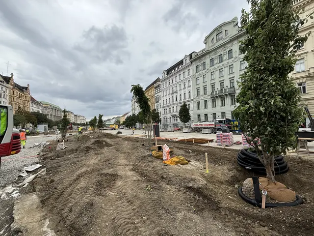 Foto: Nathanael Peterlini/MeinBezirk