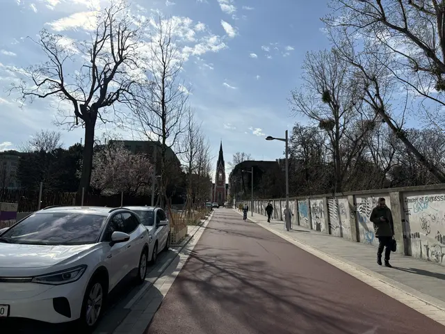 Die Elisabethkirche bekommt im Herbst einen neuen Baum – der alte wird wohl nicht an dieser Stelle bleiben. | Foto: Nathanael Peterlini/MeinBezirk