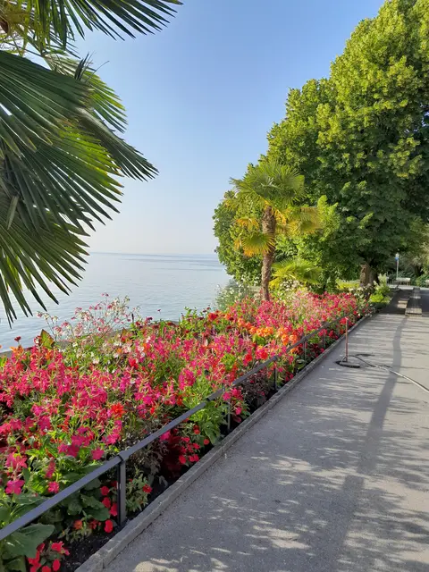 Katja Bürger konnte im Rahmen ihres Pflichtpraktikums die Schönheit der Blumeninsel Mainau für sich entdecken.  | Foto: Privat