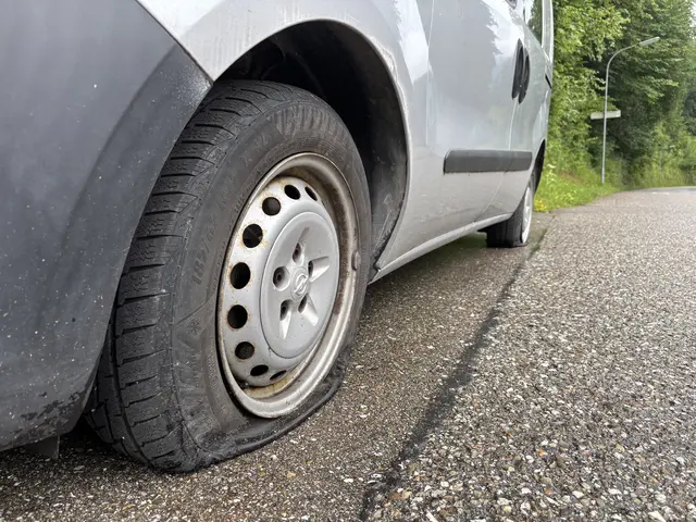 Sowohl das Vorder- als auch das Hinterrad (straßenseitig) wurden zerstochen. | Foto: MeinBezirk/Gratzer
