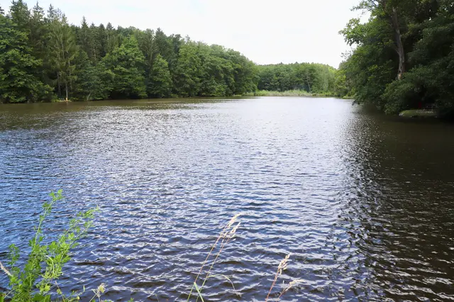 Der Burgauer Ziegelteich ist nicht nur ein Eldorado für Fischer, sondern auch Heimat für mehrere Biberfamilien. | Foto: Alfred Mayer