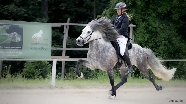 Carina Piber löst mit Milljardur frá Stora-Adalskardi Ticket für WM-Teilnahme in der Schweiz. | Foto: pnppictures