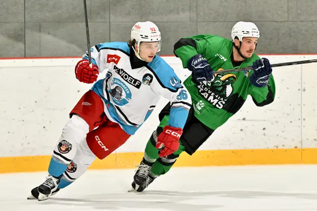 Foto: SHL/Julian Lajtai