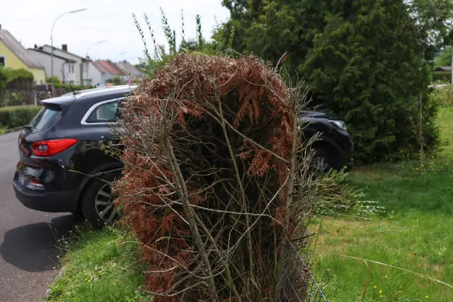 Foto: laumat/Matthias Lauber