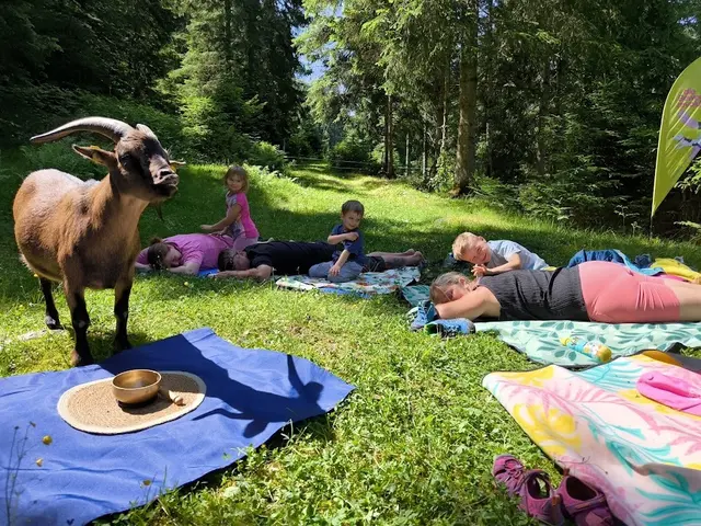 Das Ziegen-Yoga in Donnersbachwald sorgte für zahlreiche fröhliche Momente und ganz viel Entspannung. | Foto: Glaser