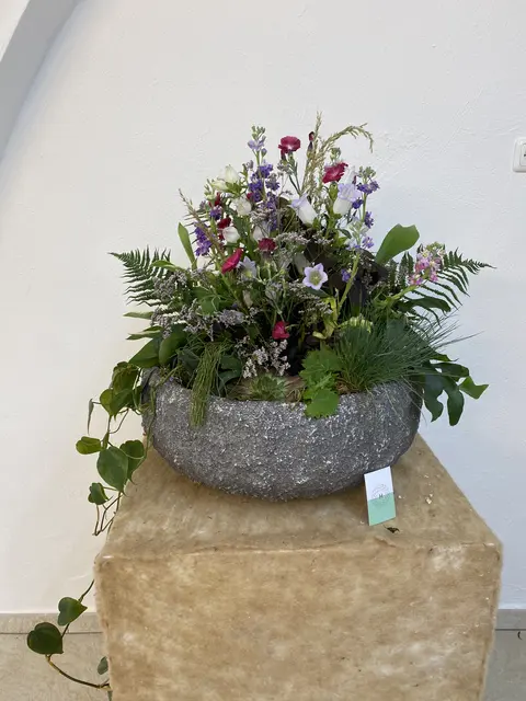 Floristik-Ausstellung bei der Landesgartenschau in Schärding. 