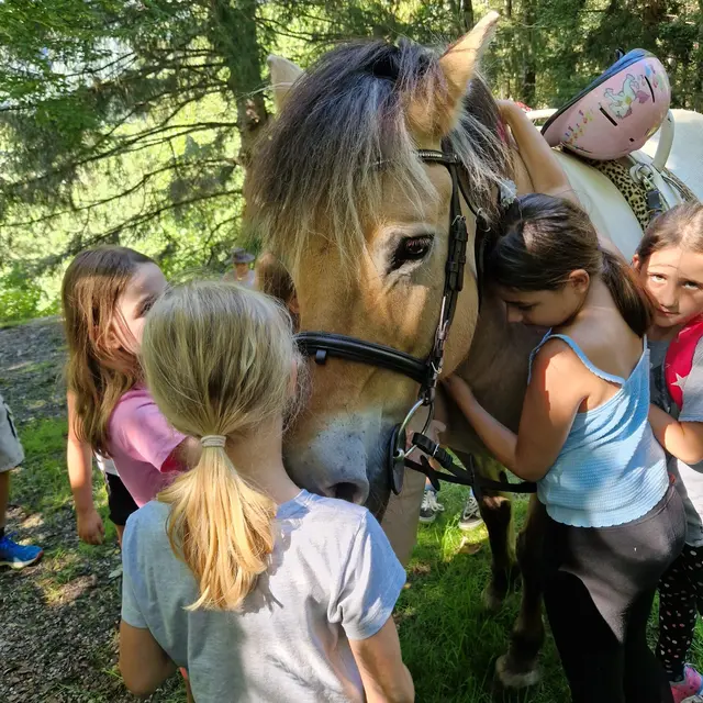 geritten, aber auch ganz viel mit den Pferden und Ponys gekuschelt. | Foto: Grukodil-Farm