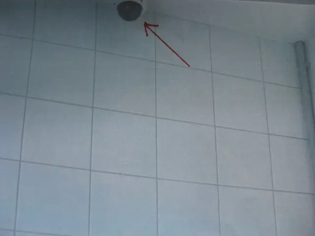 Mehre Kameras sind abgebracht. | Foto: WIR