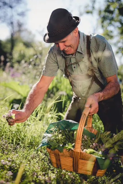 Papa Sepp ist viel im Wald unterwegs, als "Sammler" für die Küche. | Foto: Nici Seiser